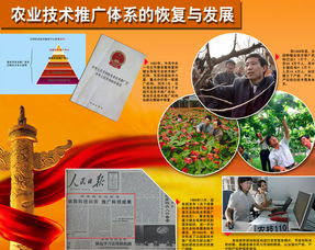 農(nóng)業(yè)技術(shù)推廣體系的恢復(fù)與發(fā)展